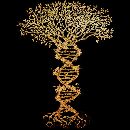 Tree of Life